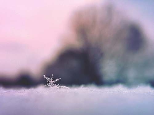 iphone 6s snowflakes ice crystal